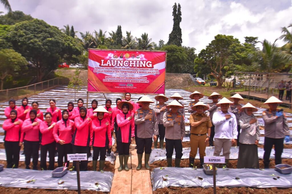 LAUNCHING OPEN3